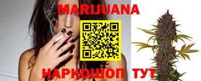 индика Лесосибирск