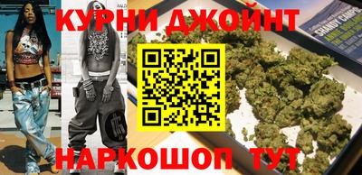индика Лесосибирск