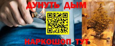 индика Лесосибирск