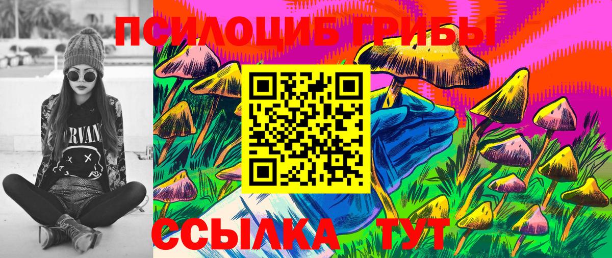 Калининград  Галлюциногенные грибы Psilocybe  цена наркотик  Вход с VPN 
